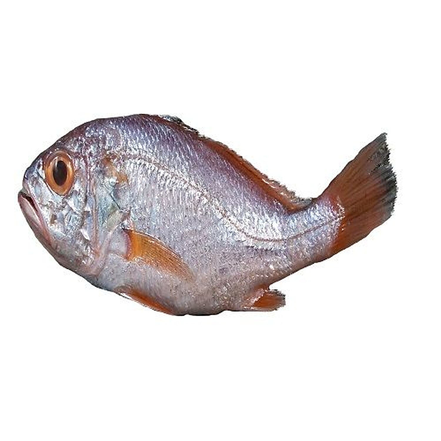 Item